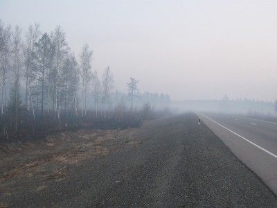 Задымление трассы "Байкал". Фото: dorinfo.ru