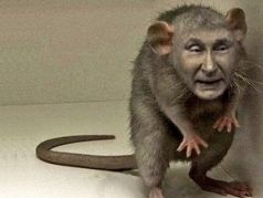 Крыса похожая на Путина. Карикатура: imgflip.com